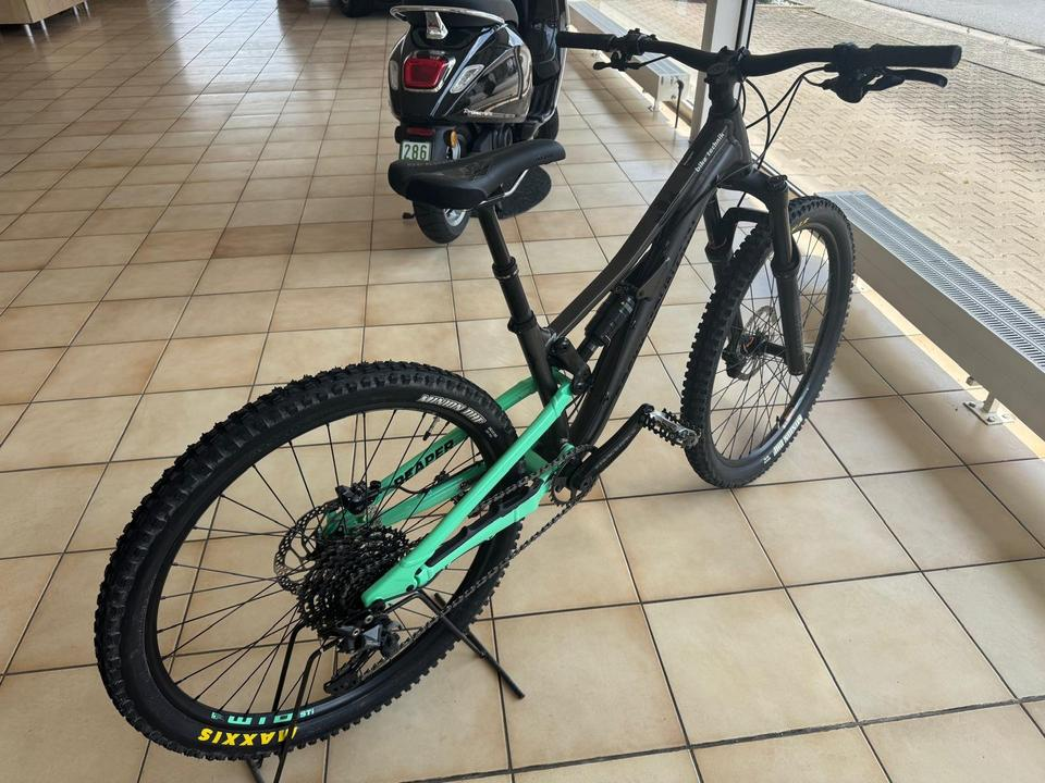 Rocky Mountain Reaper 26